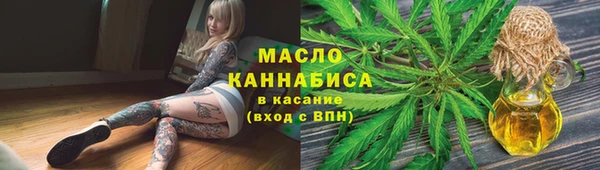 индика Белокуриха