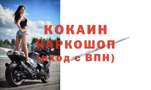 индика Белокуриха