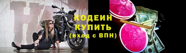 индика Белокуриха