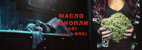 индика Белокуриха