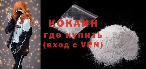 индика Белокуриха