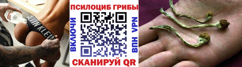 Псилоцибиновые грибы мухоморы  Барабинск 